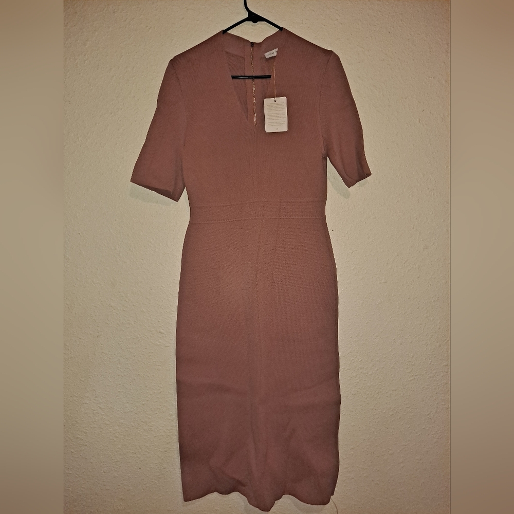 NWT Scanlan Theodore Dress